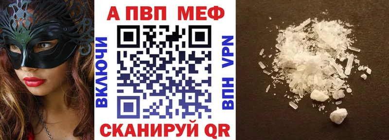 Альфа ПВП СК  Великий Новгород 