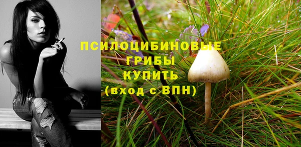 не бодяженный Пересвет