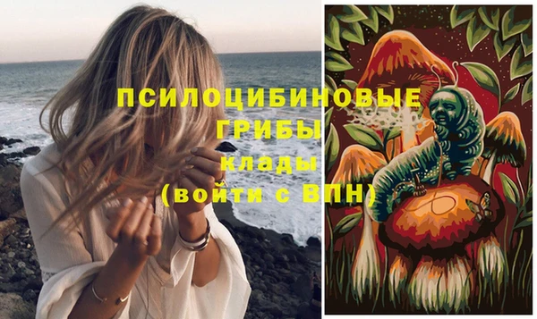 эйфоретик Абаза