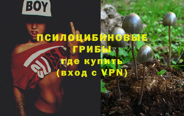 эйфоретик Абаза
