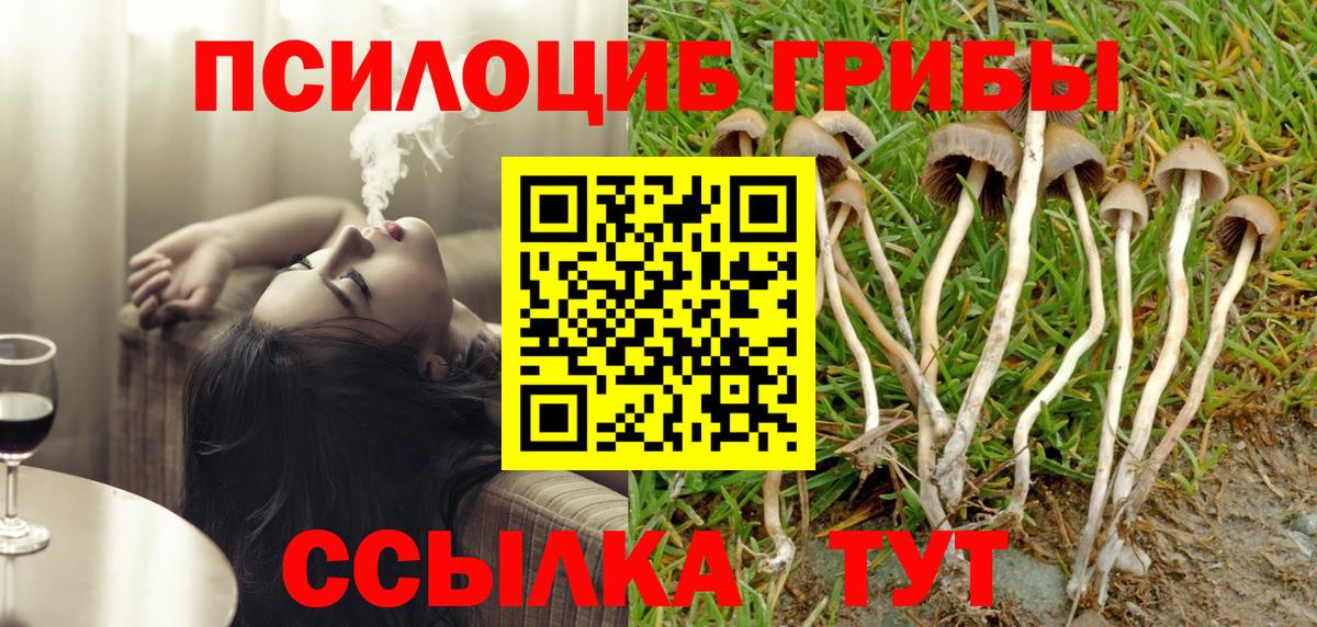 Великий Новгород  Галлюциногенные грибы мухоморы  Вход с VPN 